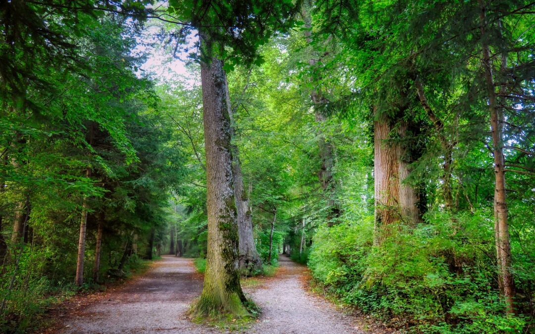 Why Some Conversations Never Move Things Forward